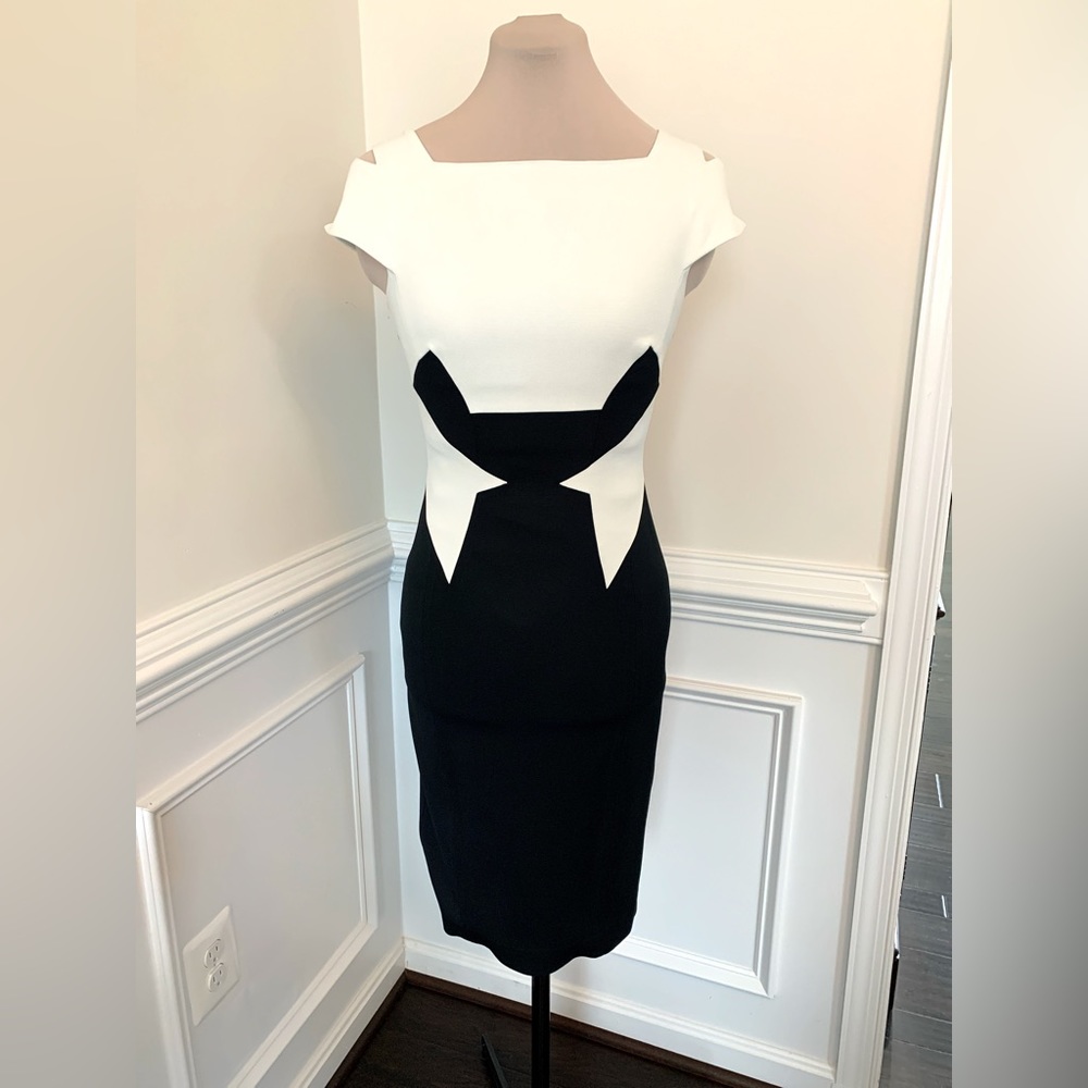 Karen Millen Dress (size 4)